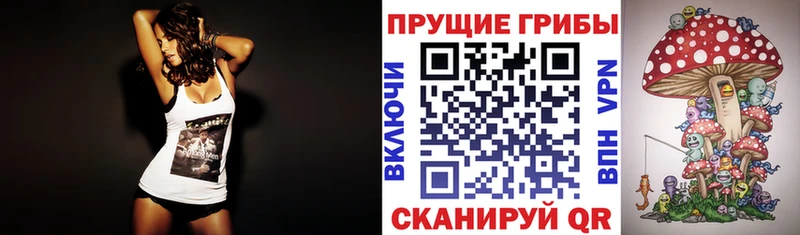 Купить где  Нерюнгри  Псилоцибиновые грибы мицелий 